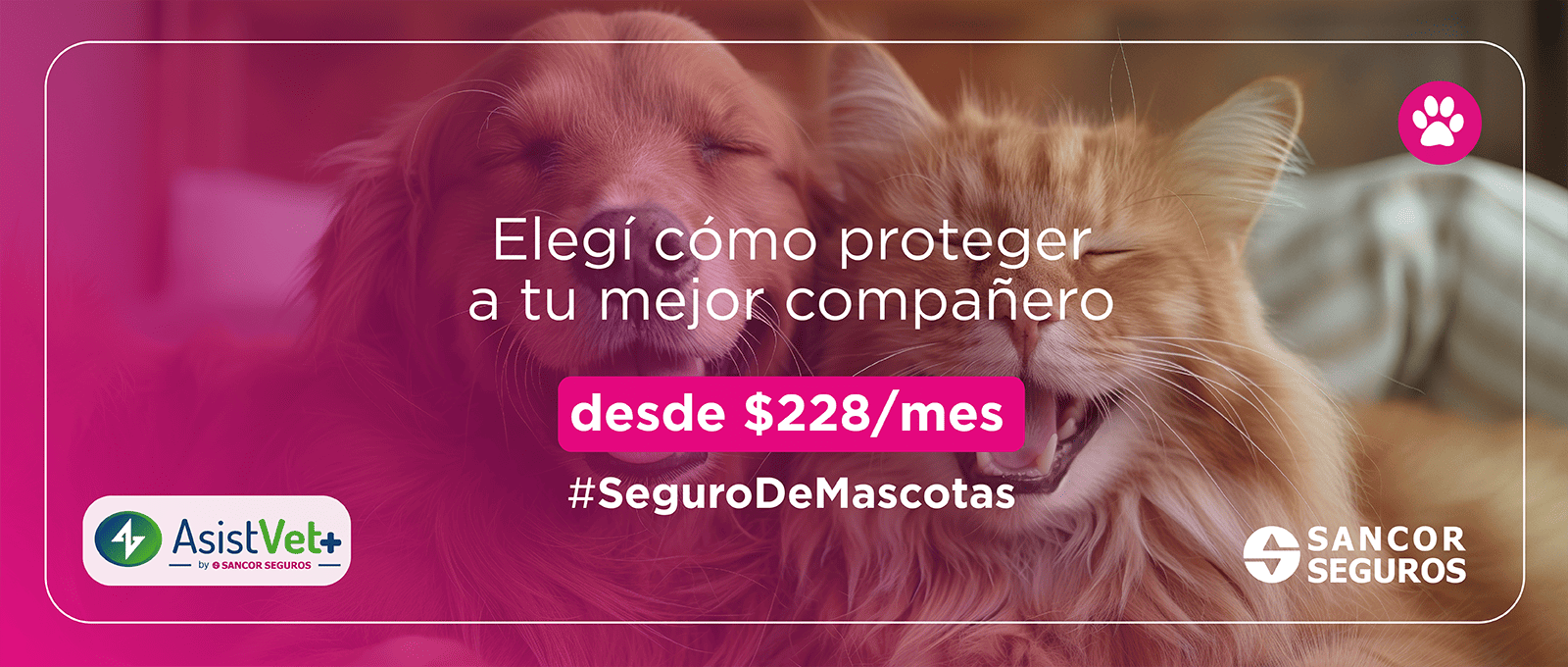 Seguro de Mascotas