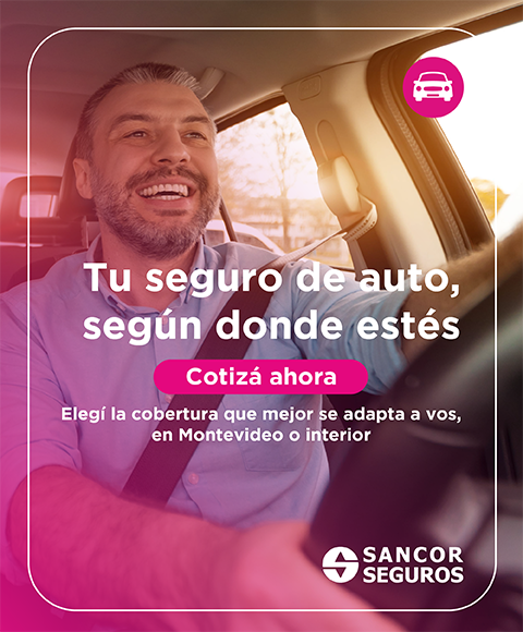 Seguro Automotor