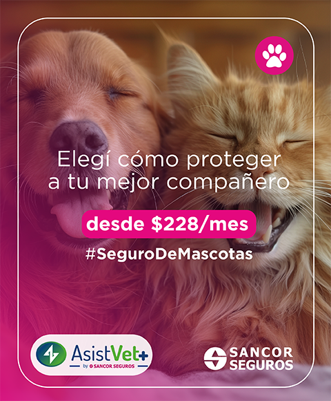 Seguro de Mascotas